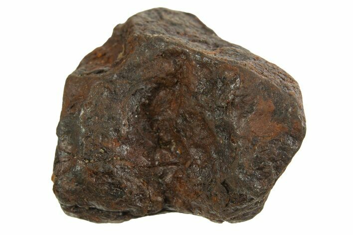 Canyon Diablo Iron Meteorite ( g) - Arizona #335949